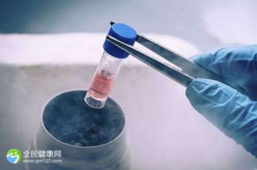 北京试管供卵圈那些事儿:常见的合同漏洞与隐形收费